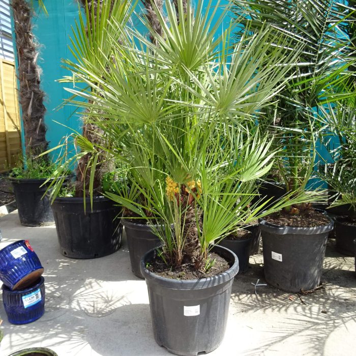 cfa316e4-2005-4cc5-a003-3ef5f50f65df