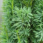 3ad7ef06-f5a4-44dc-8275-4d48db13d940