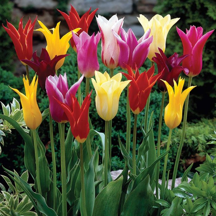 1008742.jpg f58aa777-10f2-43ac-9230-e60a7c5d2bbb