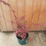 07a37a86-f57a-4649-9554-f72396541d10