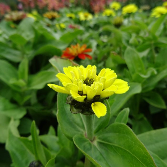 c552c7b5-14fa-41c4-9abf-b99690218662