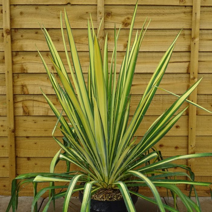 ea1ce040-ebaf-4022-aeb3-c1497f21bbd8