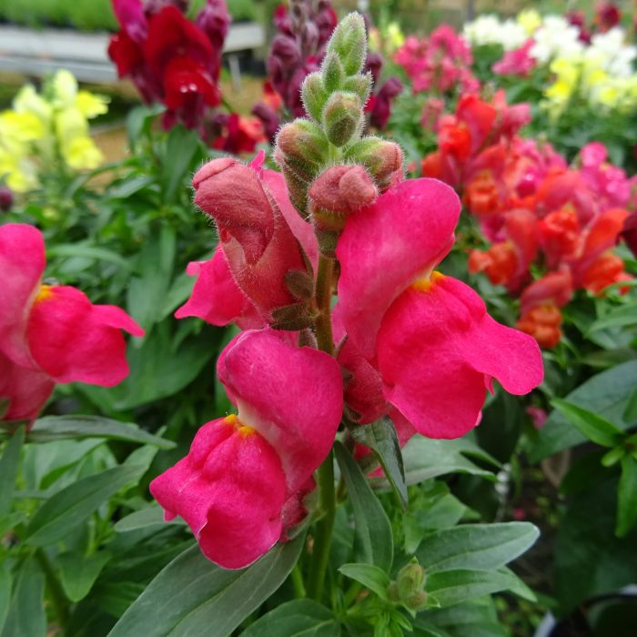 1373b6ae9be3cbed55a0ab7edaf92780.jpg 3f7eb109-164f-422f-a51d-1fab2886baff