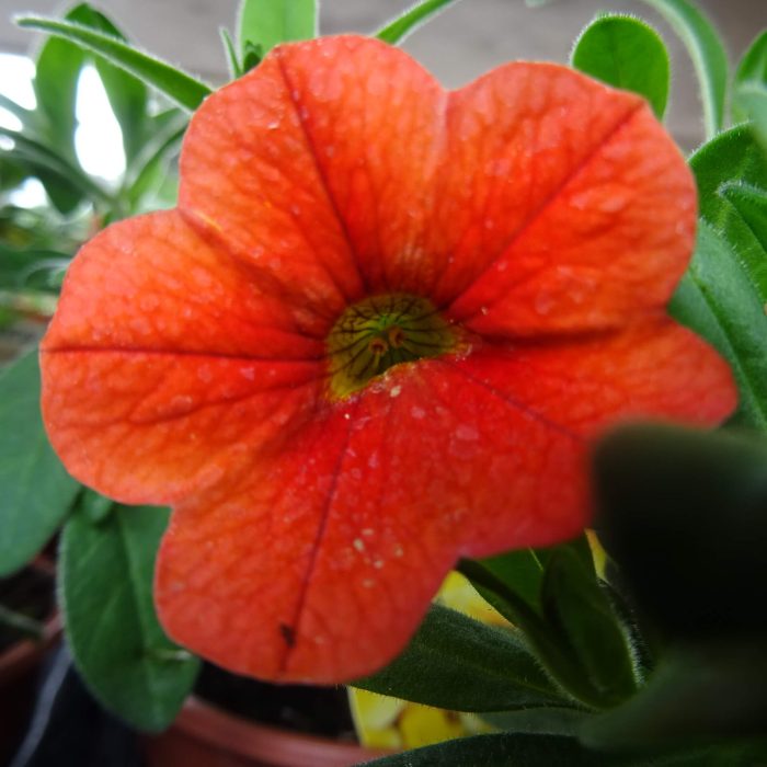 1be81238-4c2f-4cee-b624-87566c6750dc