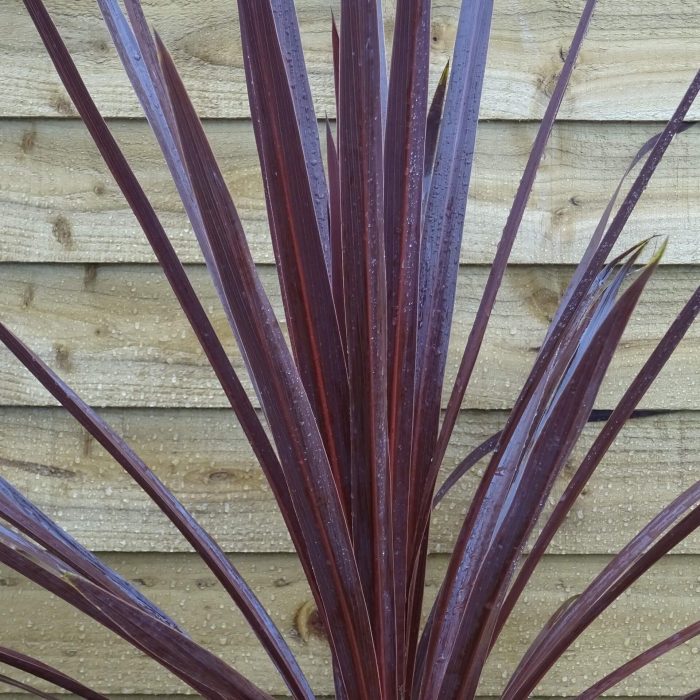 f73a70d0-668a-47b4-99bb-2a1e6131942c