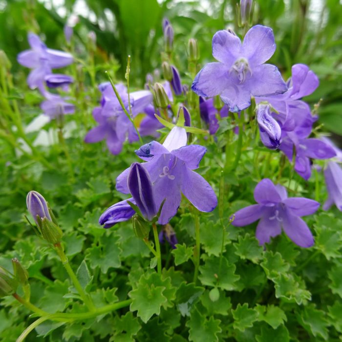 f4316481-50a3-4908-a68b-8cecc9fe7bb3