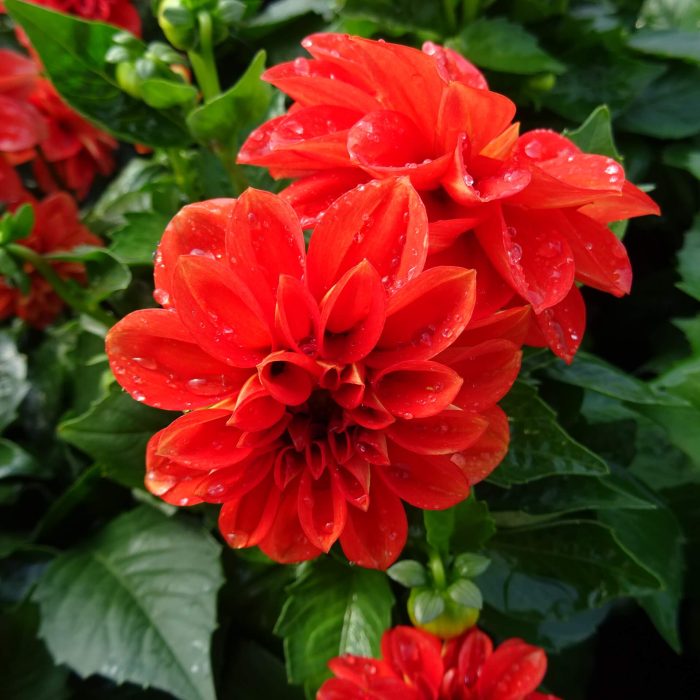 148308614fdcc1628abdf29069750813.jpg c36e755b-046a-456f-85eb-16a9193d6595