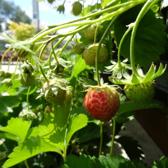 14bedb17a29d9b8ec918c8cd28d72b2f.jpg bce5a912-8c5a-4a35-817c-f49ab82d99f4