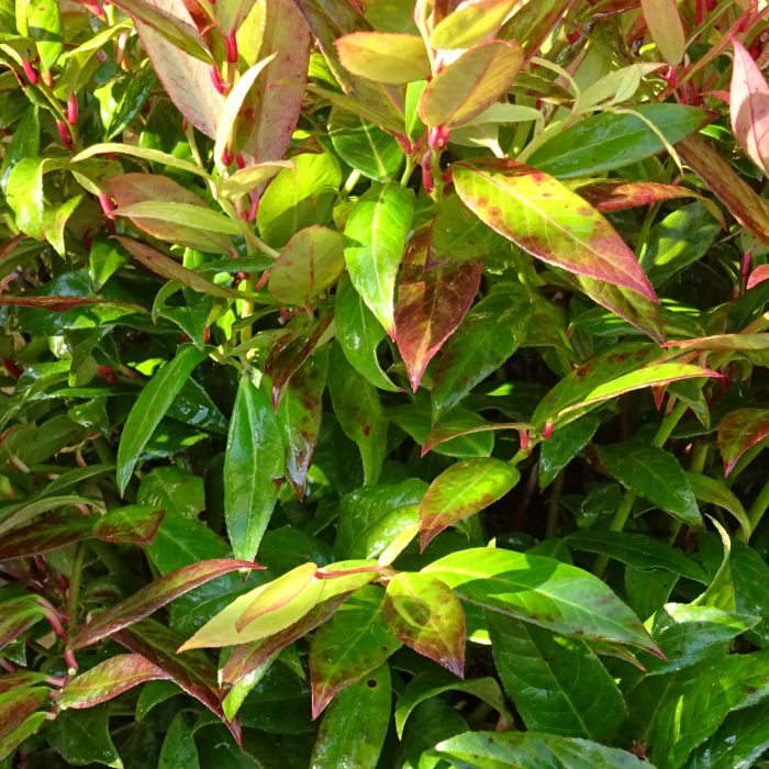 78832bf4-d680-41ca-8216-92329dba457d