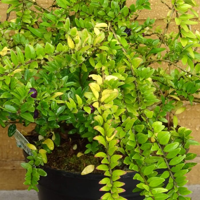 fe1dc0b8-9c83-4284-acc9-73089cfdb6c4