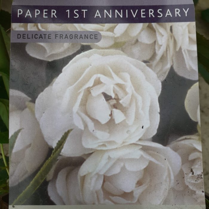 d172d1c4-692b-4f63-9baf-5407b1c06408