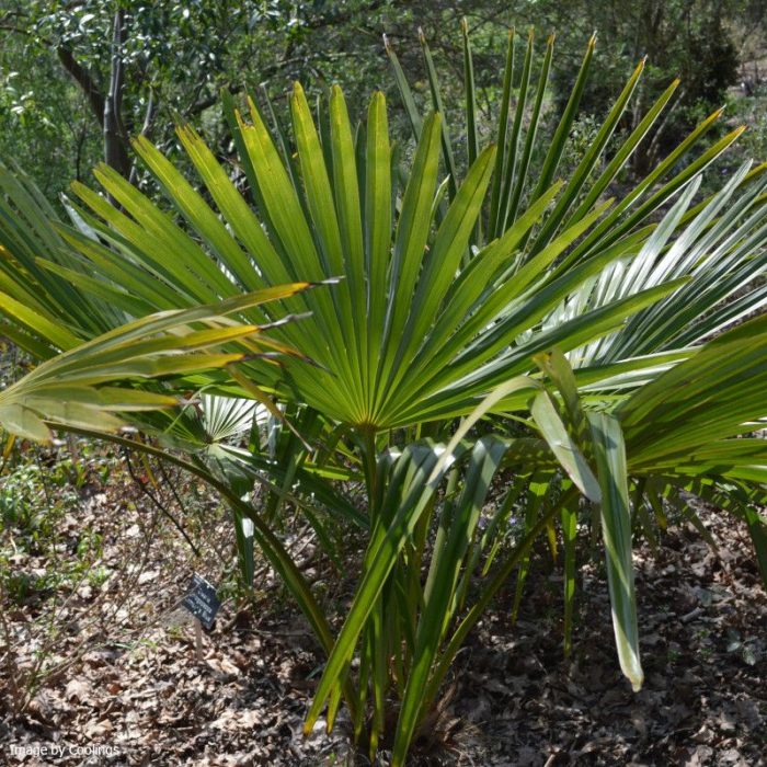 1602ac6eb5a280e259577b20b767e08a.jpg c659ab03-6c5c-4d52-a40c-2fb9aa1b3c4f