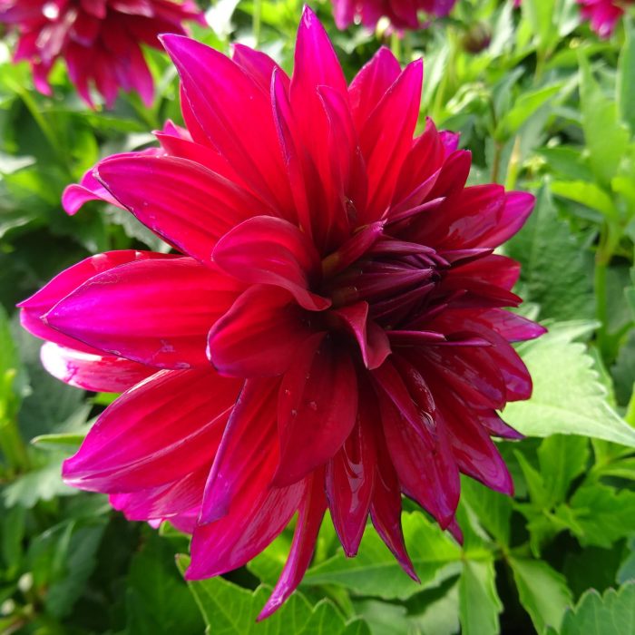 bfaf25bb-a362-4990-878e-4f9403ed5cf8