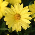 22ea8b90-5972-477c-b62d-326a449dc198