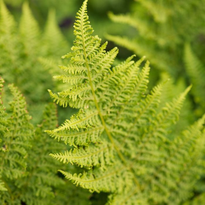 165a7764b6b43364b8346fd39df06ef4.jpg 4f702910-92c6-42df-84c5-82c2b369f140