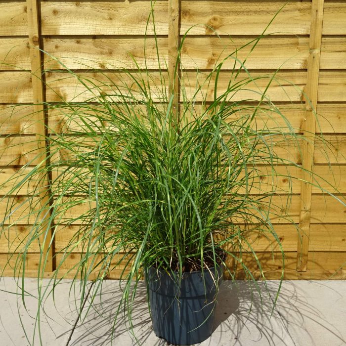 147de79f-d385-48ca-ba8a-7bbec6eea154