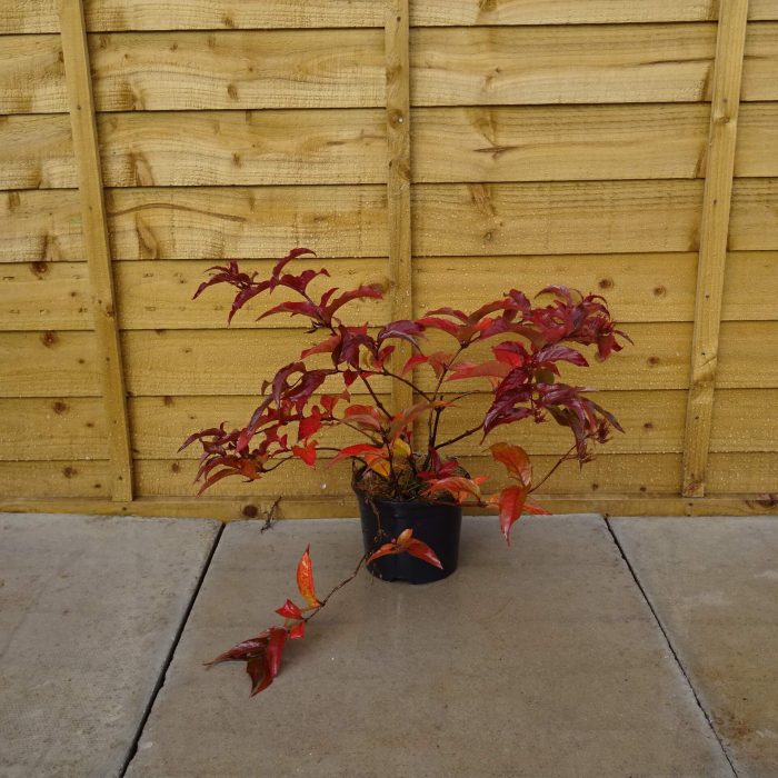 d68bbf6d-0254-4d8e-ac6f-d6d791fce809