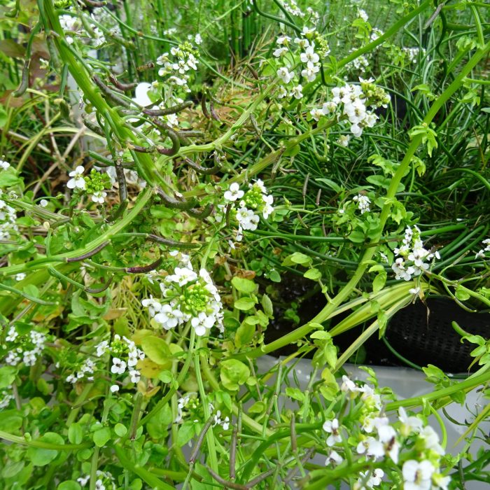 1c00872a-aeca-47dc-8b78-fa109dc53d65