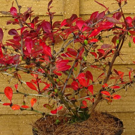 1568d452-74c6-44d6-aea9-9d9ba0d37b1b