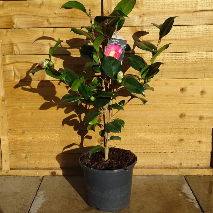 18cf7e9b087b30b77078be7f078d40a3.jpg 4fd7c559-11e3-4a2c-895c-a1ee7f54c50c