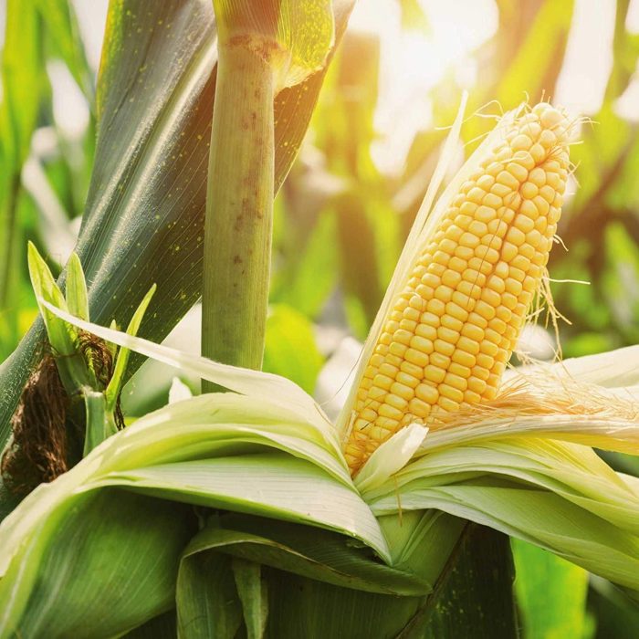 1919a792c0d3a81bb59225bbc25f0828.jpg dba6aac4-0f1d-4690-8312-fc50a937bcf0