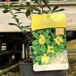 ae11a61c-01b9-4905-9862-d1faa84c0c1f