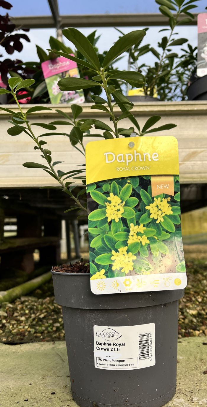 19719f044c7b802b40b2a10d27d41318.jpg ae11a61c-01b9-4905-9862-d1faa84c0c1f