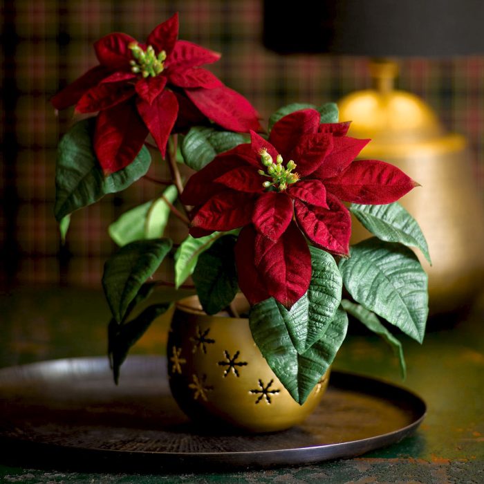 1a0cd06ed87b15803cc3ad3a01a090b3.jpg 9f8ec788-dcf6-4da8-b3bb-b54892610781