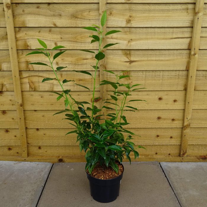 46531c6b-6ab2-48be-aec6-712c83e182b9