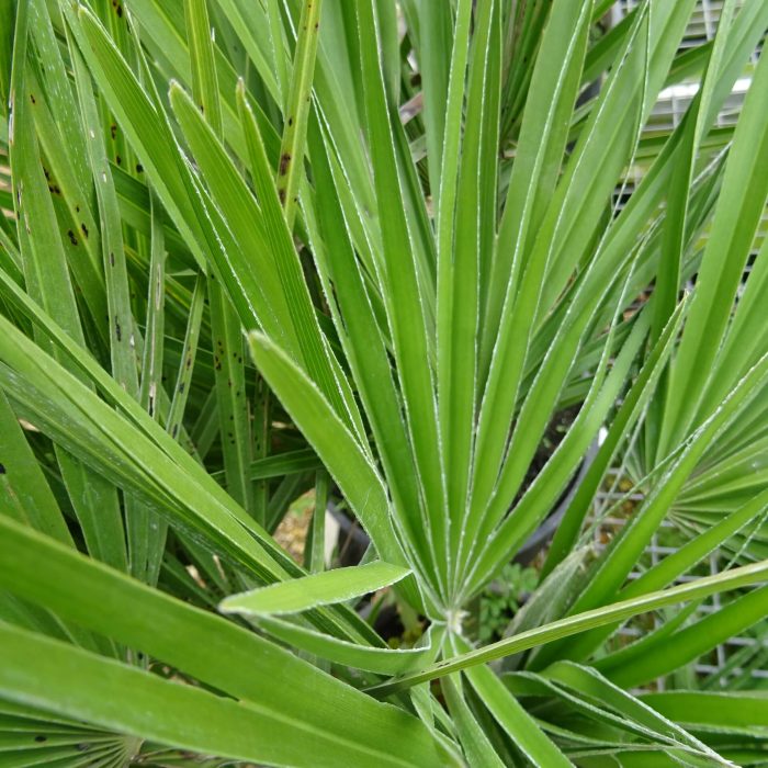 1b5130108f61f263d5de1bd364aa916b-1.jpg a7eb5576-2244-4cef-9331-872801590ee2