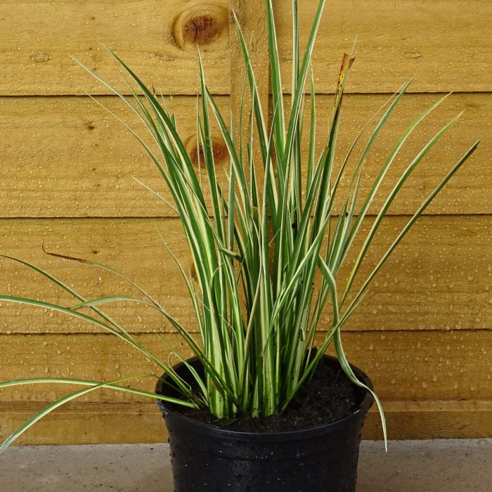 34c91296-f2bd-4a84-beed-2422171bbc78