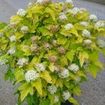 14c0e08a-ef31-4c70-af66-7a79ec29edbe