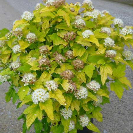 14c0e08a-ef31-4c70-af66-7a79ec29edbe