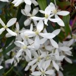 f57a2c2e-b255-493b-bbee-04fa53bd1f96