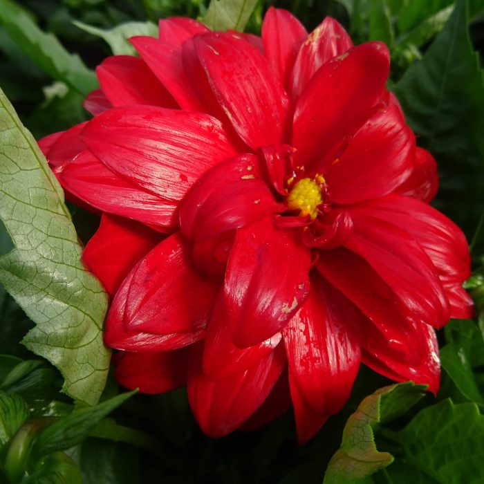 c7442072-b1fe-4ac5-b37c-ebc9b69265d9