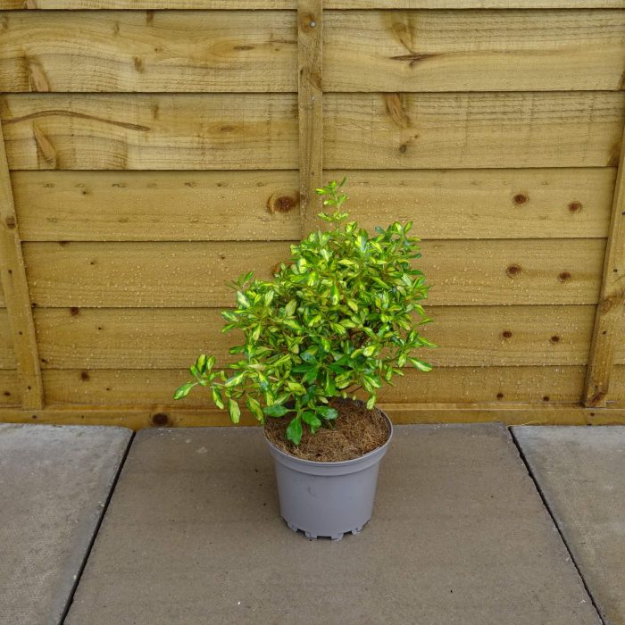 f485405e-cd8b-47f2-86d7-afd651b0c715