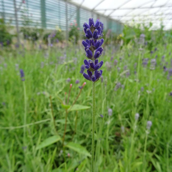 5e051ea5-6e10-4718-a97b-7914d3da45ab