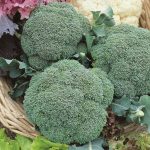 03f0a27c-7ff7-431c-808d-80a3d9b1121b