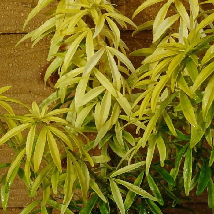 1d9300441dbc33095daf981761c6bb3a.jpg 13f59b4a-c74c-4225-a583-81feac4da6c8