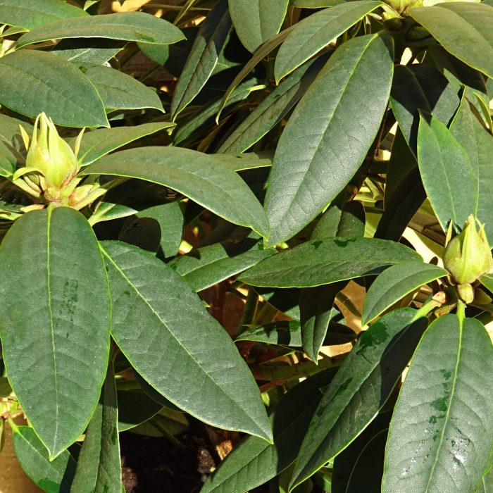 bc74b43d-3eff-4893-b5da-6e42ff0616a3