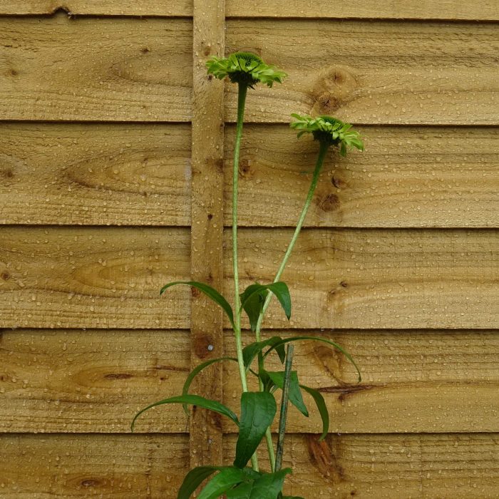 a1e3c0df-0dd5-4d97-9916-01f1fb8f5a90