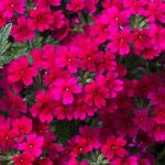 7328b857-c2eb-4a03-82fd-5cc2977d1579