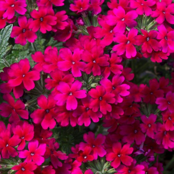 7328b857-c2eb-4a03-82fd-5cc2977d1579