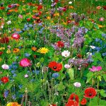 0b8deaf6-49b4-4304-90a0-e58ff3dee709