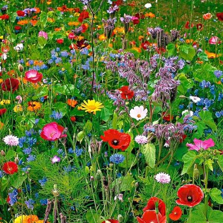 0b8deaf6-49b4-4304-90a0-e58ff3dee709