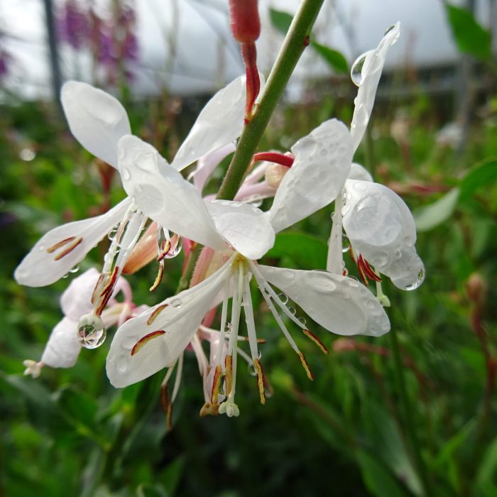 9eb39f21-f38e-4754-b21d-9d49a74b6d1d