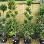 18d0c6dd-2cb7-4d43-90f3-1e743e0780b1