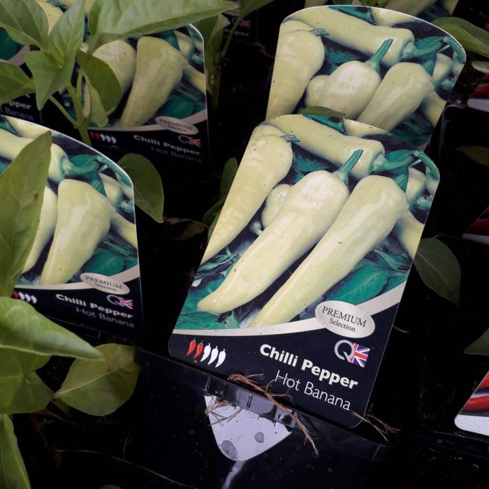 20200523_103509-scaled-2.jpg 044f1943-9a45-457d-9952-a66a3819f22d