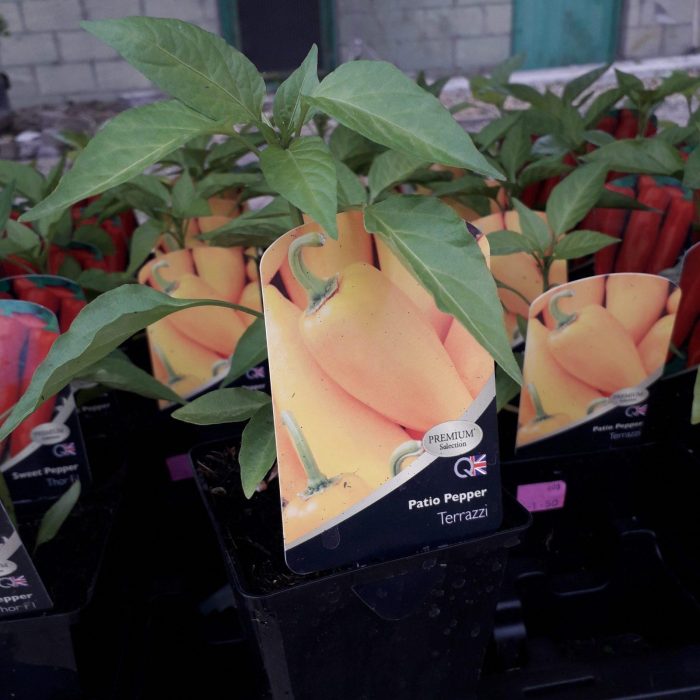 20200523_103538-scaled-1.jpg dd51dd60-a311-4482-97ac-aeda417f3345