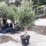 87476768-4d1f-447a-85e7-44c349929c99